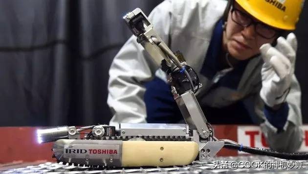 极致体验服务,极致体验服务有礼