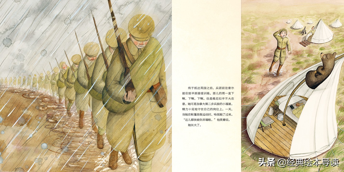 一只世界著名小熊的真实故事——《寻找维尼》导读