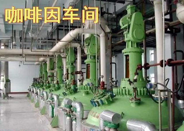 今日食普628期：咖啡因，天天打交道的精神药物