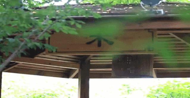 辽宁附近的温泉,辽宁省温泉分布图