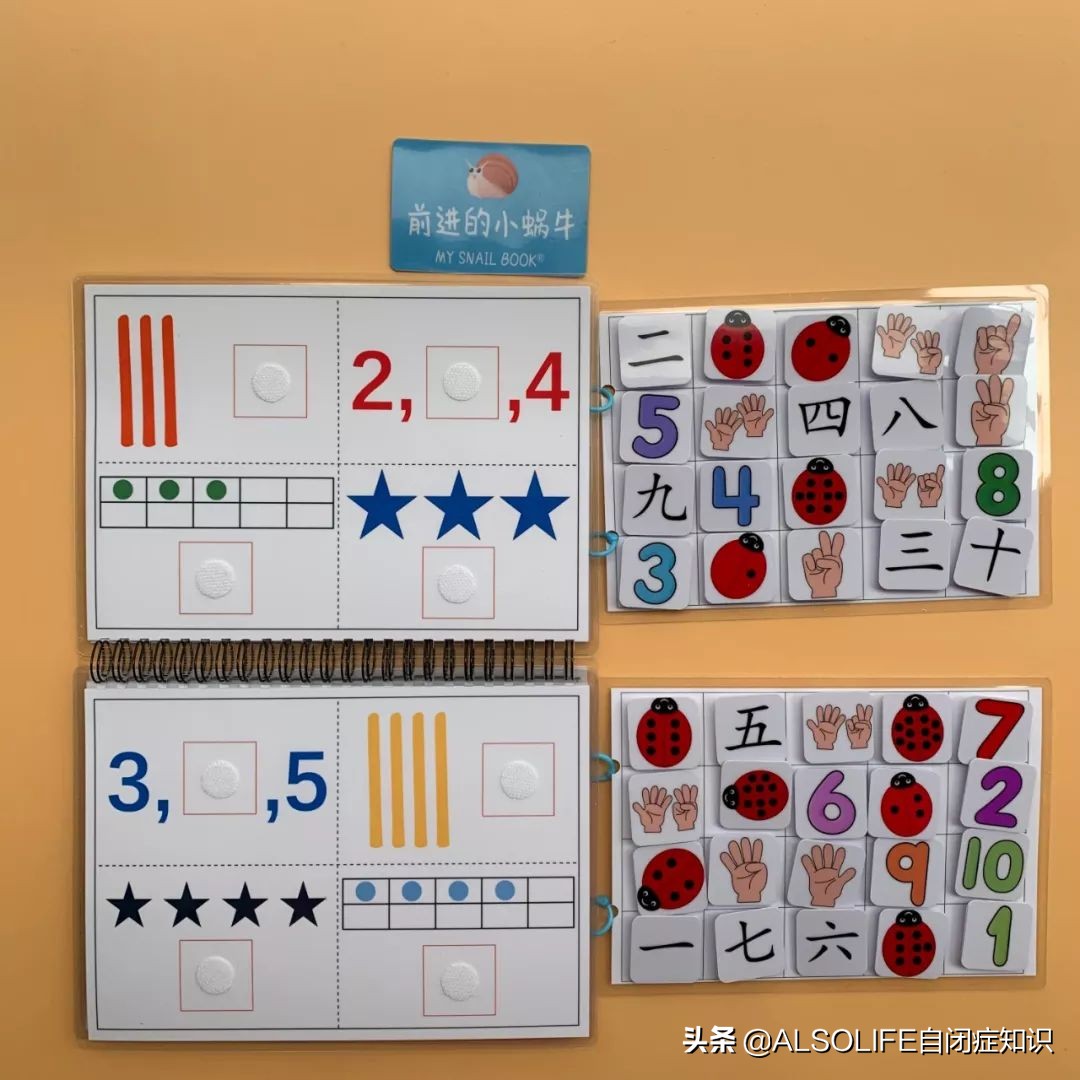 一整个切块的苹果,把一个苹果切成两半体积有变吗