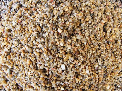 给君子兰换盆可以加上点草木灰吗,如何给君子兰换盆在冬季