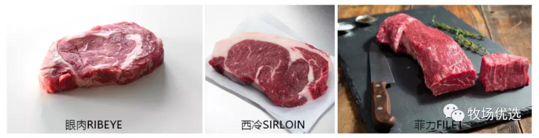 一般市场的牛肉可以做牛扒吗,煎牛扒买什么牛肉