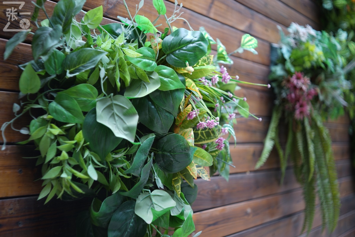 适合索尼a7m4的50定焦镜头测评,索尼a7m4镜头24-105f4测评