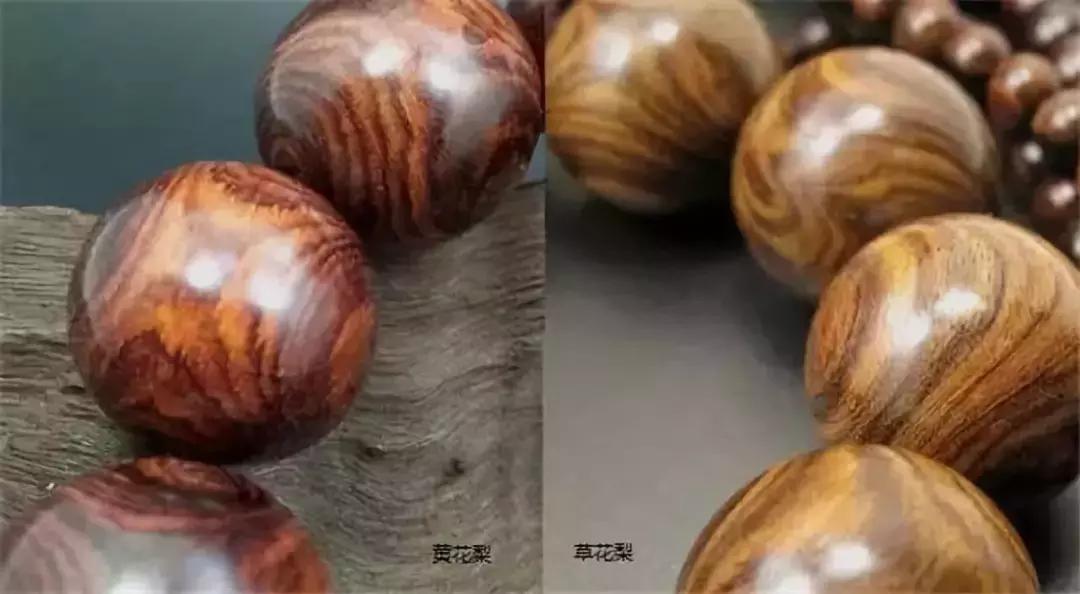 大叶黄花梨是什么样的,大叶黄花梨和白酸枝