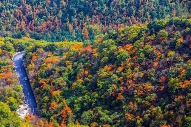 西安自驾秦岭秋色最好的地方,西安自驾一日游的绝佳去处秦岭