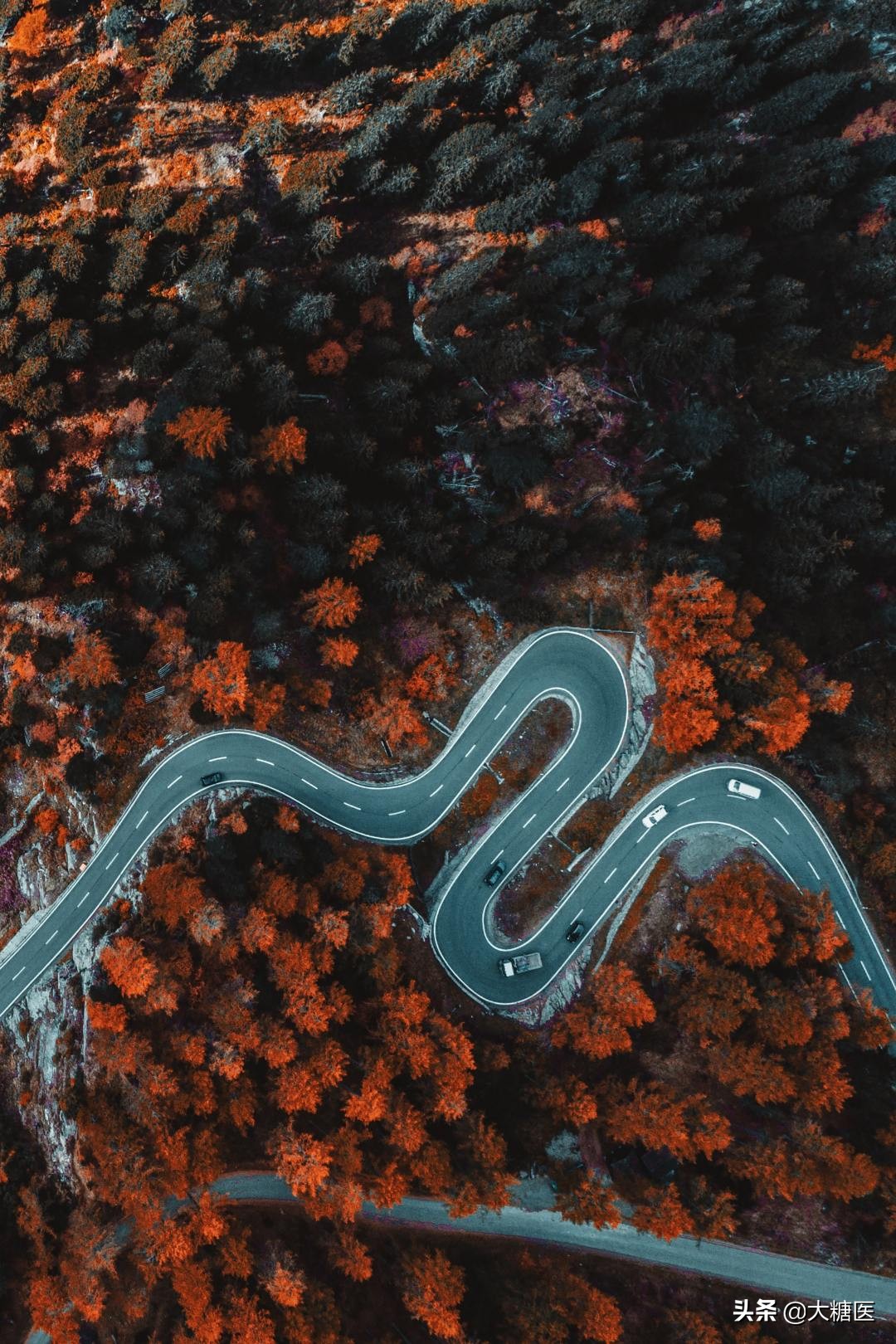 喝中药治疗糖尿病可以停西药吗,2型糖尿病吃中药还是西药好