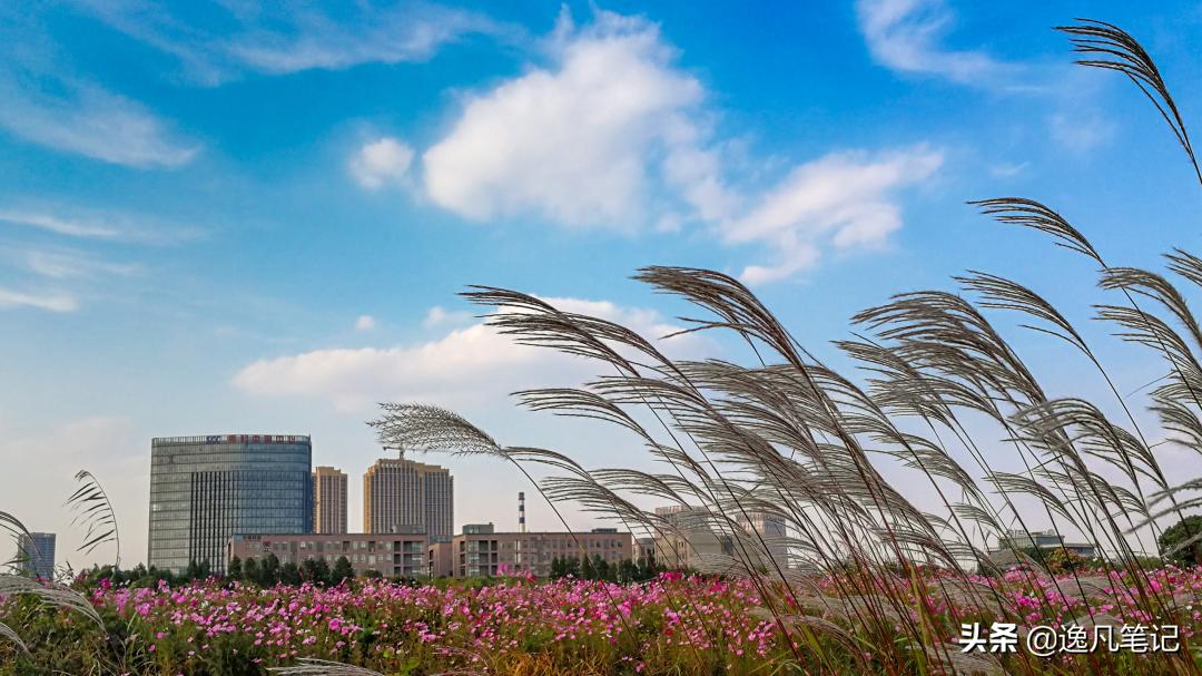 无锡新安街道老城改造,未来无锡规划最有潜力的片区