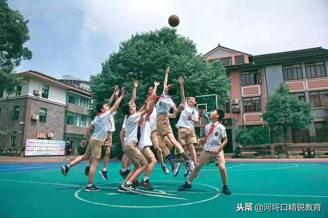 杭州民办小学学校录取结果查询,杭州西湖区民办小学报名人数