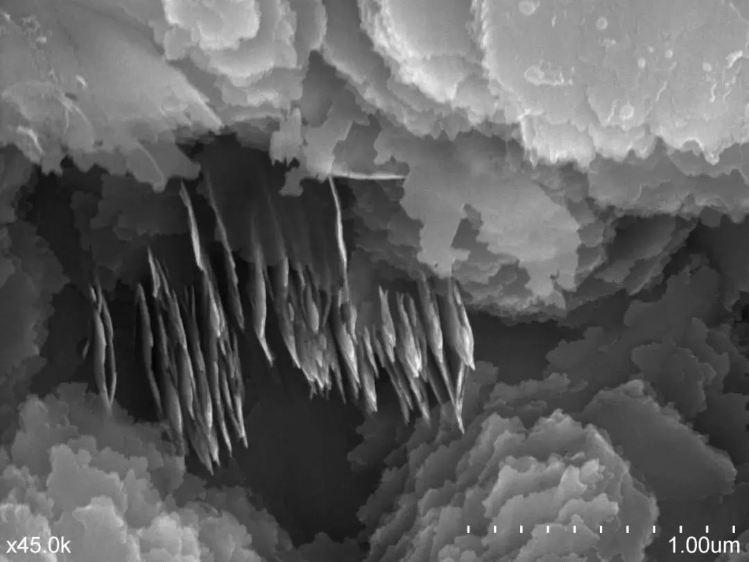 绉戠爺澹佺焊,绉戠爺浜虹殑鏂板勾澹佺焊