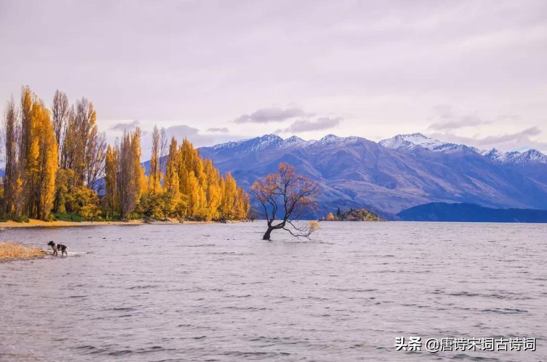 读一本好书做一个有趣的人,读有趣诗文
