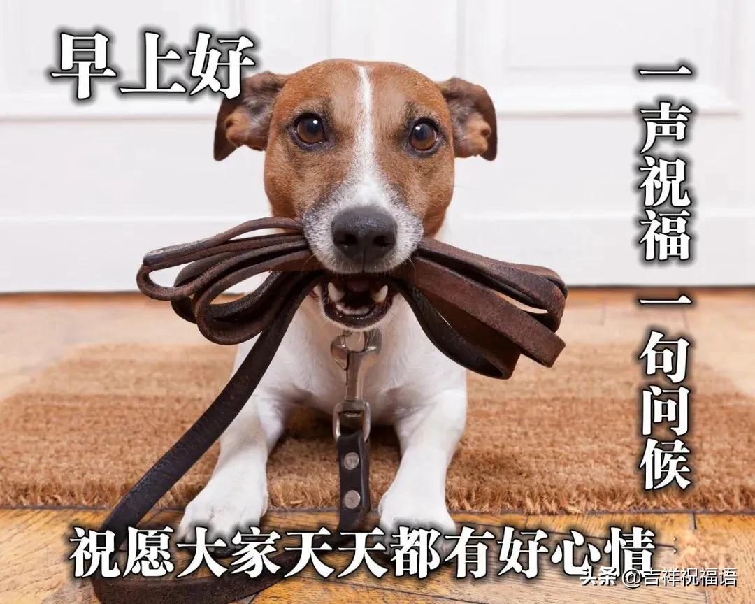 人生一辈子努力争取得失一切随缘,人生就是一个过客不必在意结果