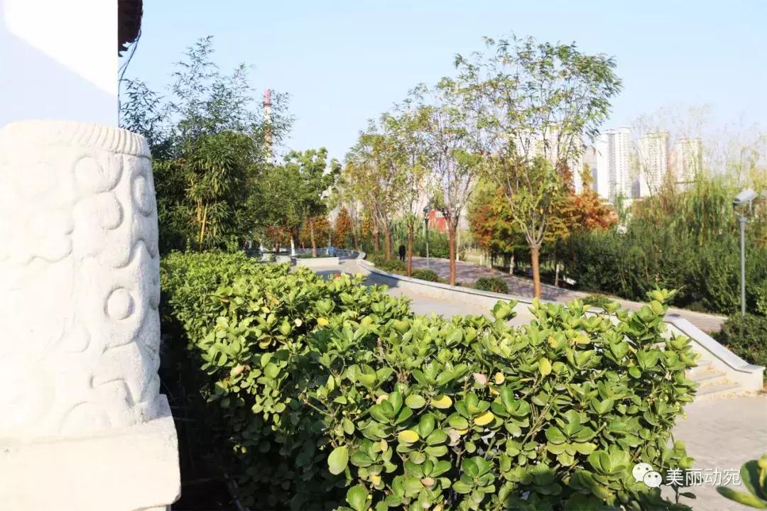 这本书，世上只有一本；这个人，也再也不会出现