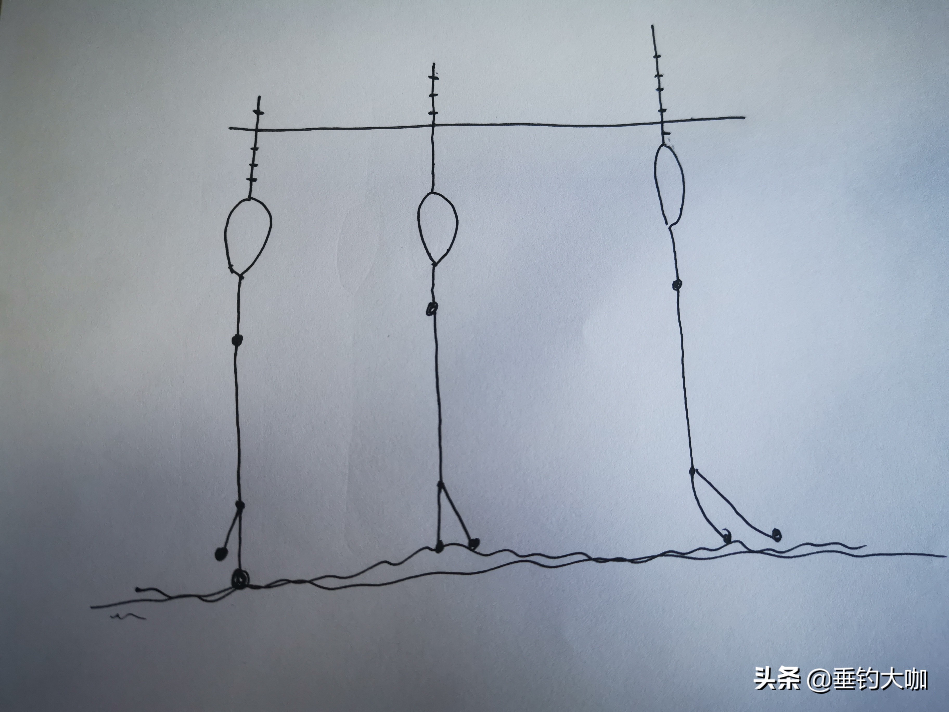 台钓调灵最佳时间,台钓最灵钓法