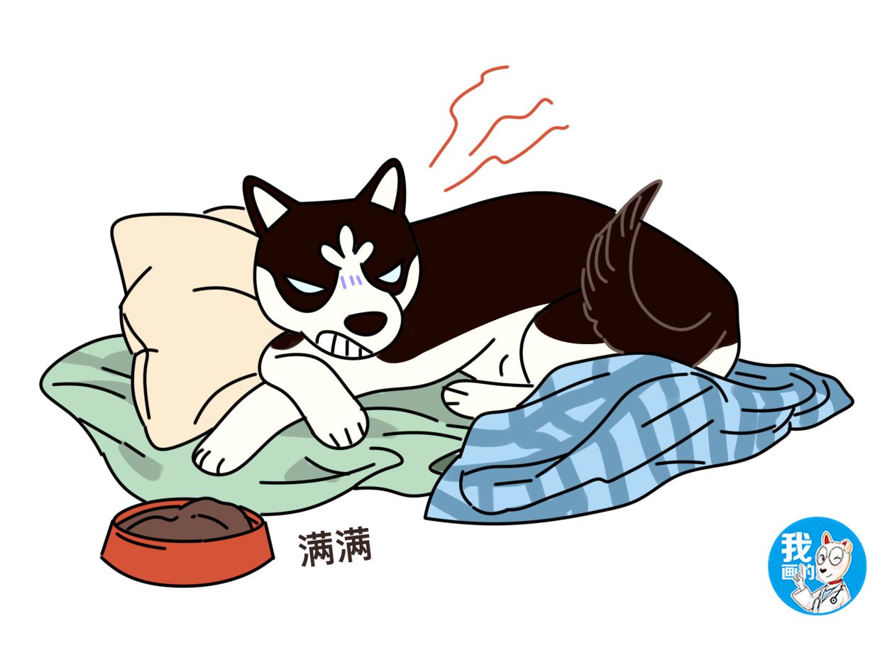 母狗真怀孕和假怀孕的区别,小奶狗出现呕吐症状