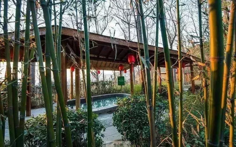 郑州值得收藏的8个地方,郑州十大温泉推荐