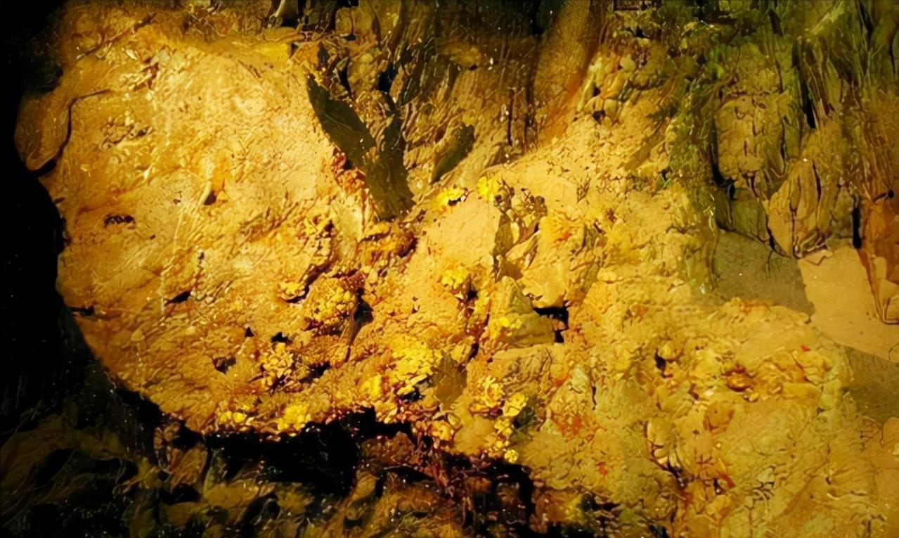 加纳黄金海岸淘金,在加纳淘金中国人有多少人