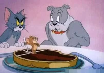 猫为什么不能多吃谷物,猫咪喜欢吃狗粮怎么办