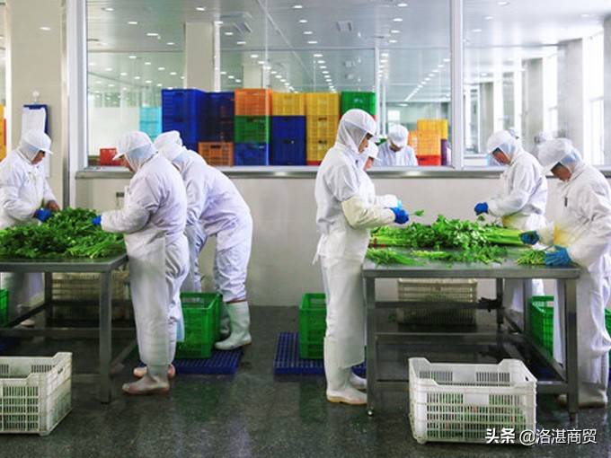 四海游龙崇明店,四海游龙鸡排饭