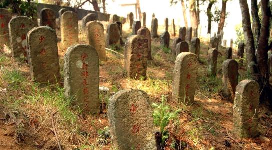 中国远征军一共干掉多少日军,中国远征军打胜了吗