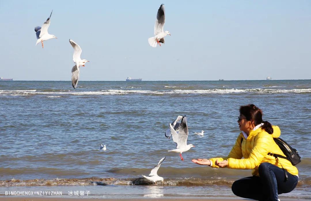古北水镇游览路线,从古北水镇爬司马台