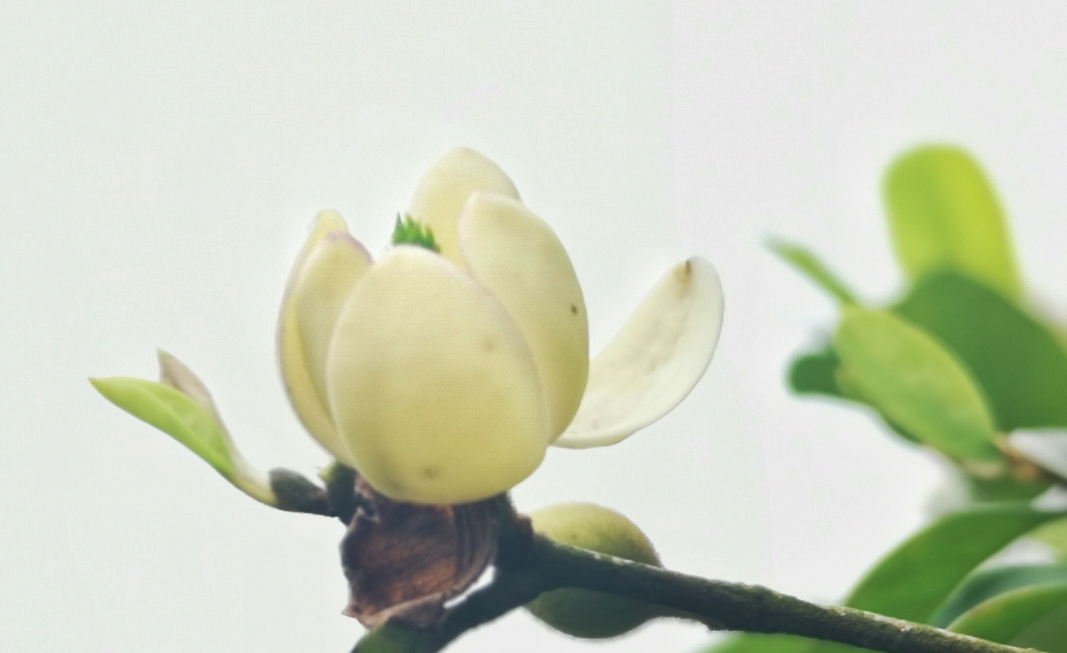 寻找身边的美丽身影,寻找身边美丽景色