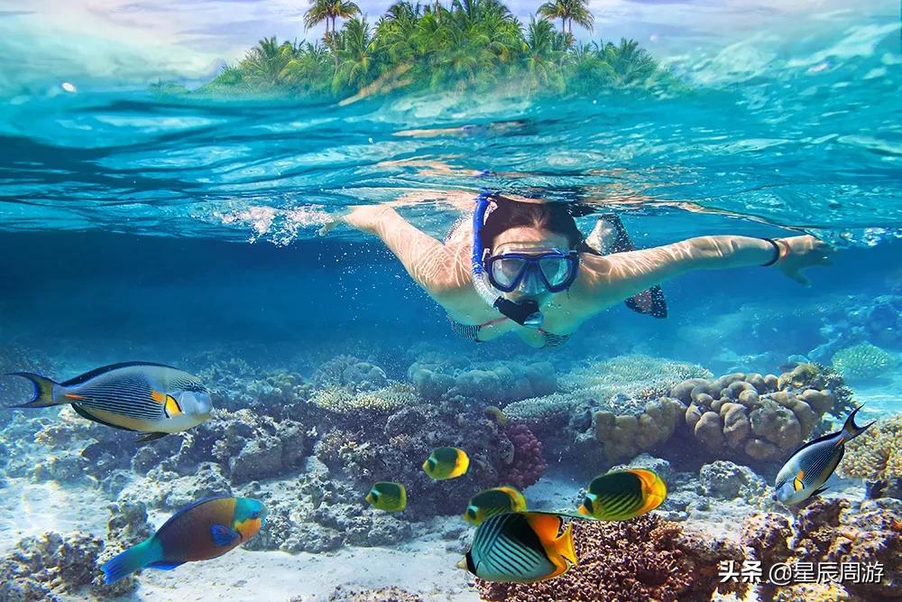 惠州市金海湾度假村酒店,惠州金海湾凤池岛度假酒店公寓