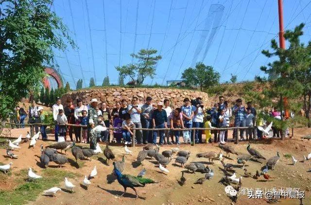 潍坊金宝乐园一日游价格,潍坊金宝乐园旅游攻略