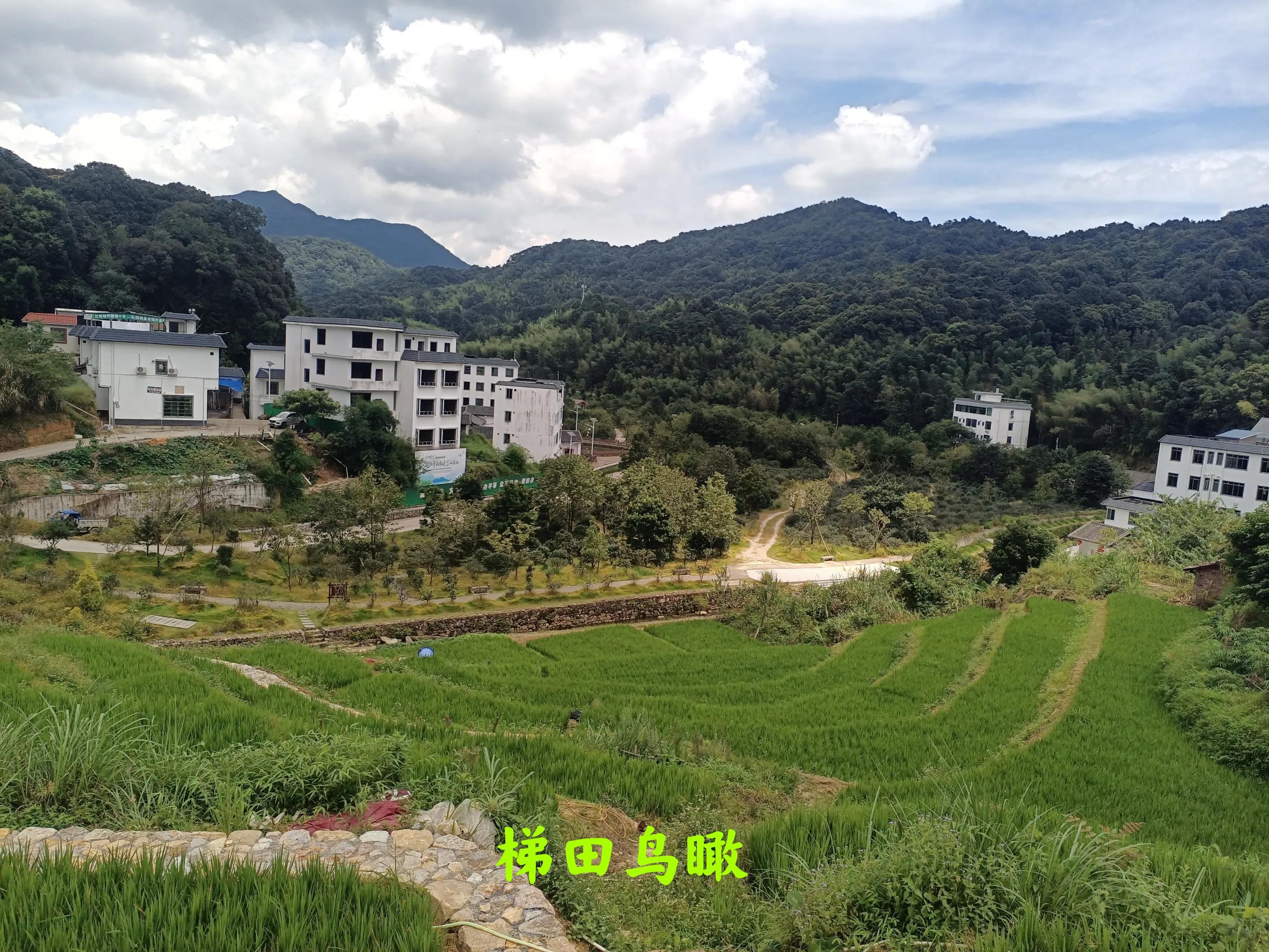 乘公交去乡下:广州海拔最高的村落-阿婆六村