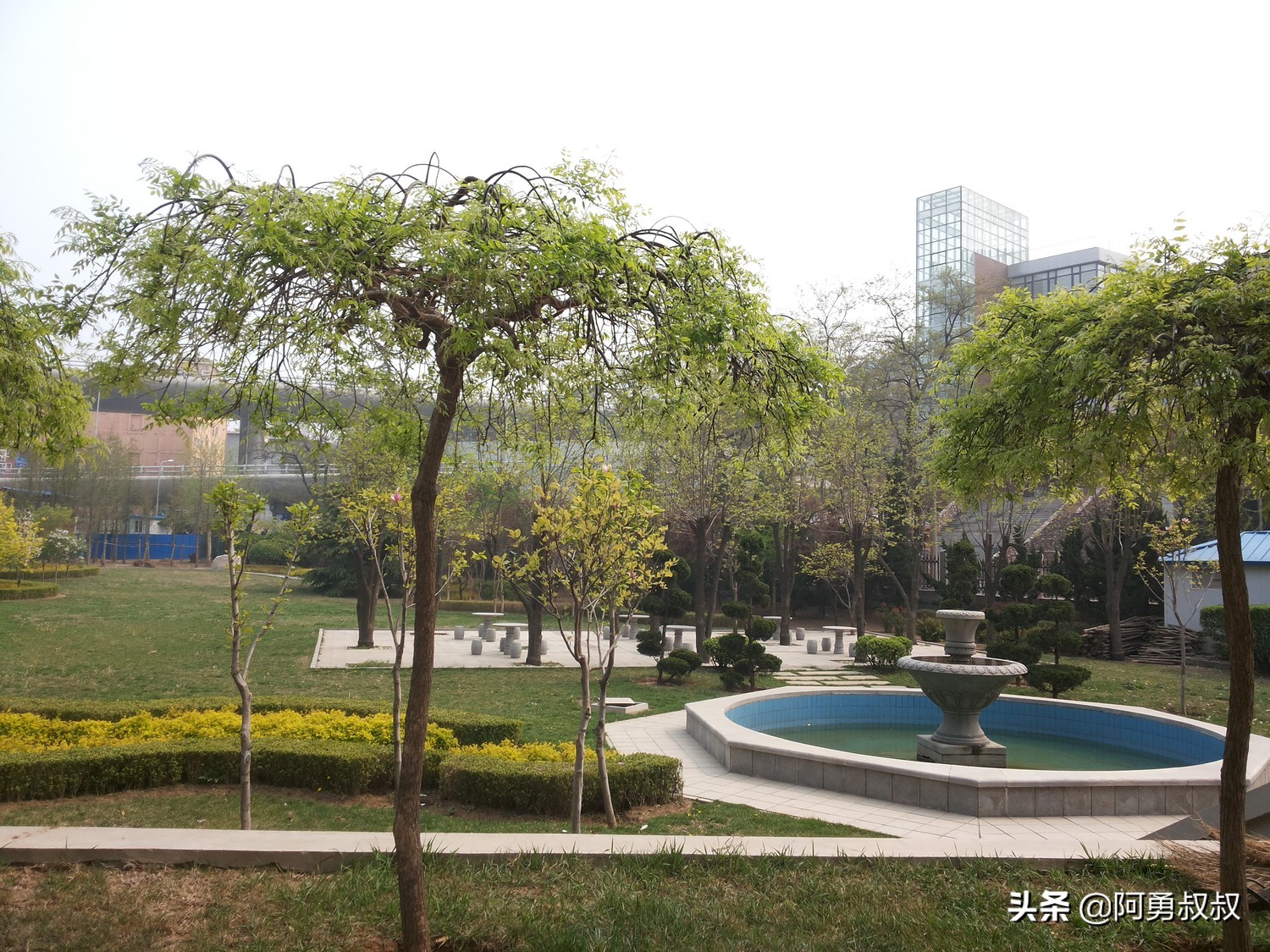 大连市第二十四中学内设机构,大连市第二十四中学金普校区