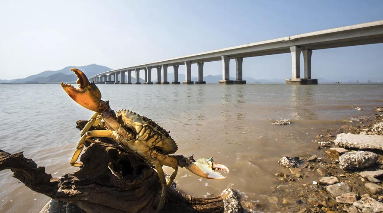 拥有中国最美海岸线的小县城,浙江四个冷门海岛