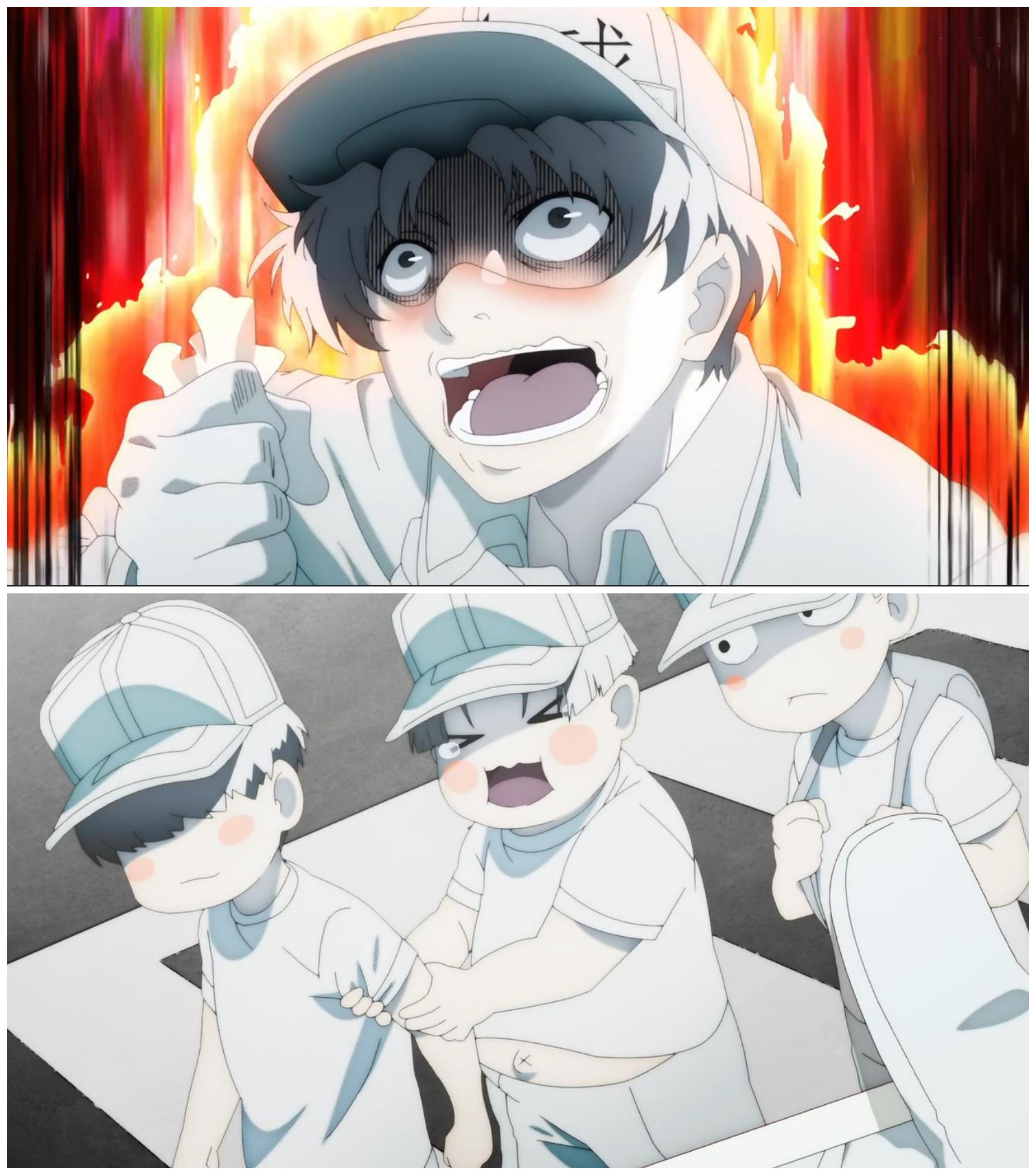 黑历史曝光!NK姐贵是“小公主”,白细胞曾为胖子,反差萌亮了