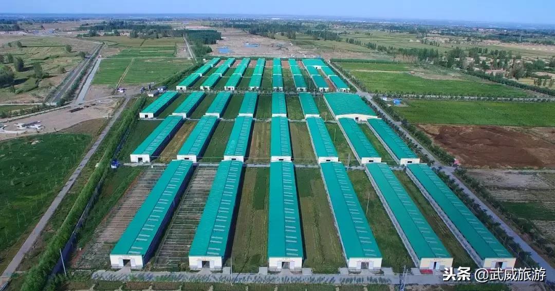 武威着力打造全域旅游,武威文化旅游综合体