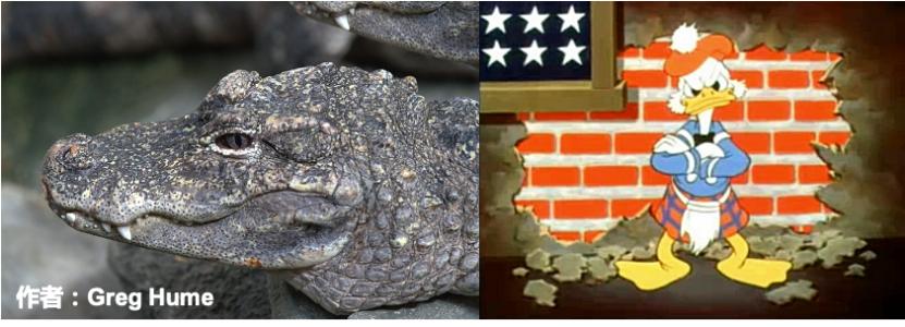 搞笑诺奖:在充满氦气的房间里来上一段B-BOX会怎样?