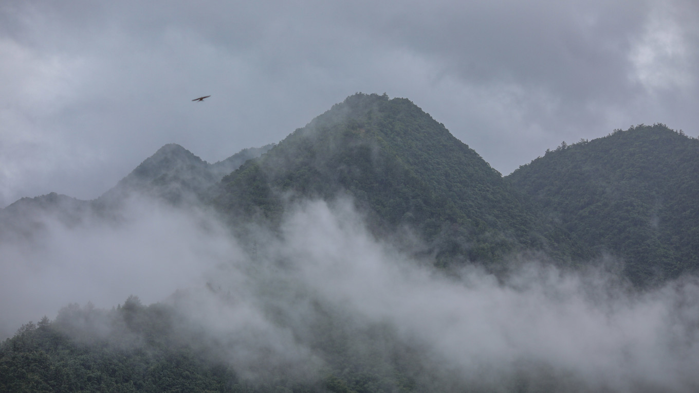 桐庐山湾湾漂流门票多少,桐庐山湾湾漂流景区在什么地方