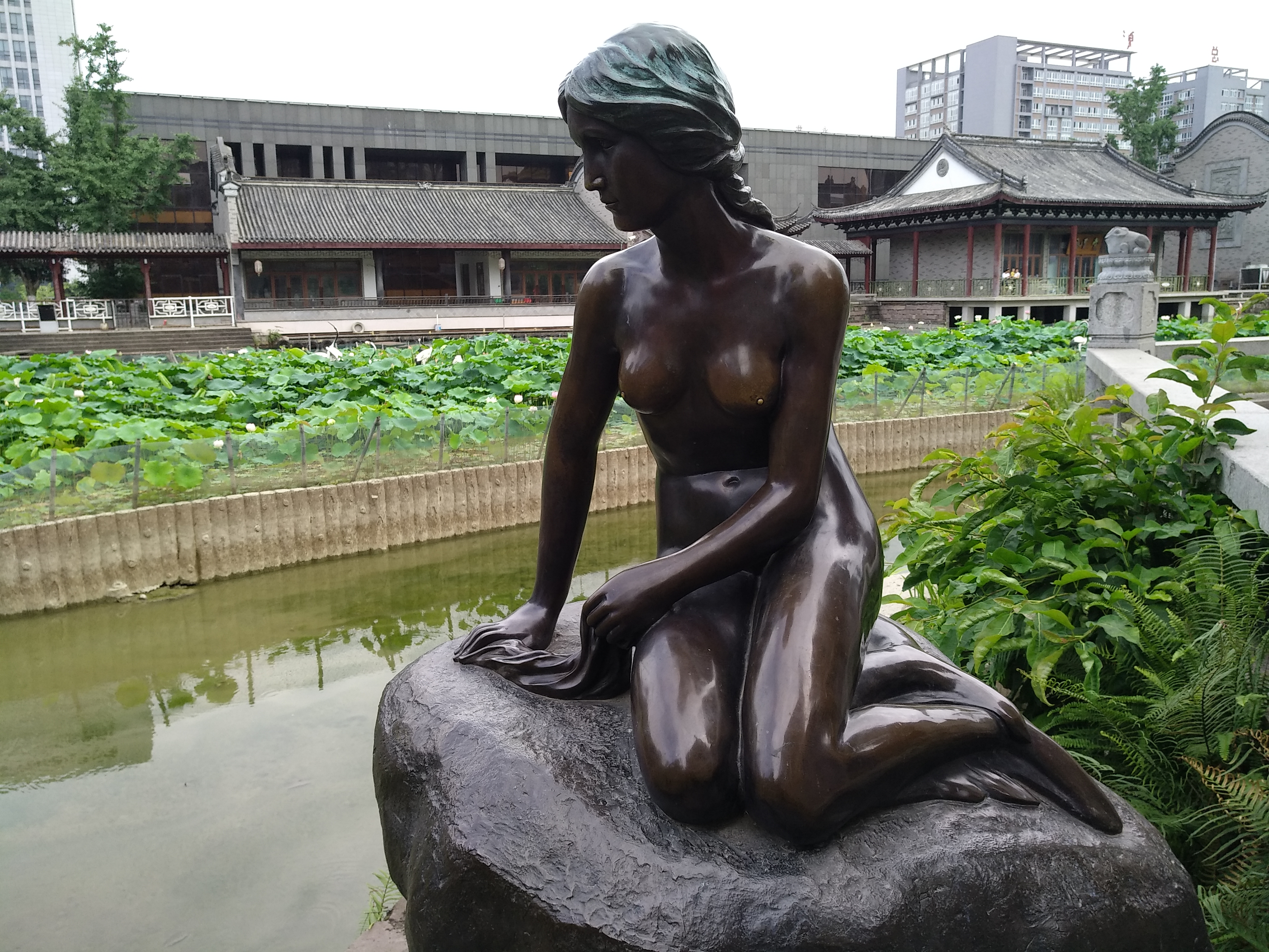 成都龙潭水乡最新消息,成都龙潭水乡别墅区