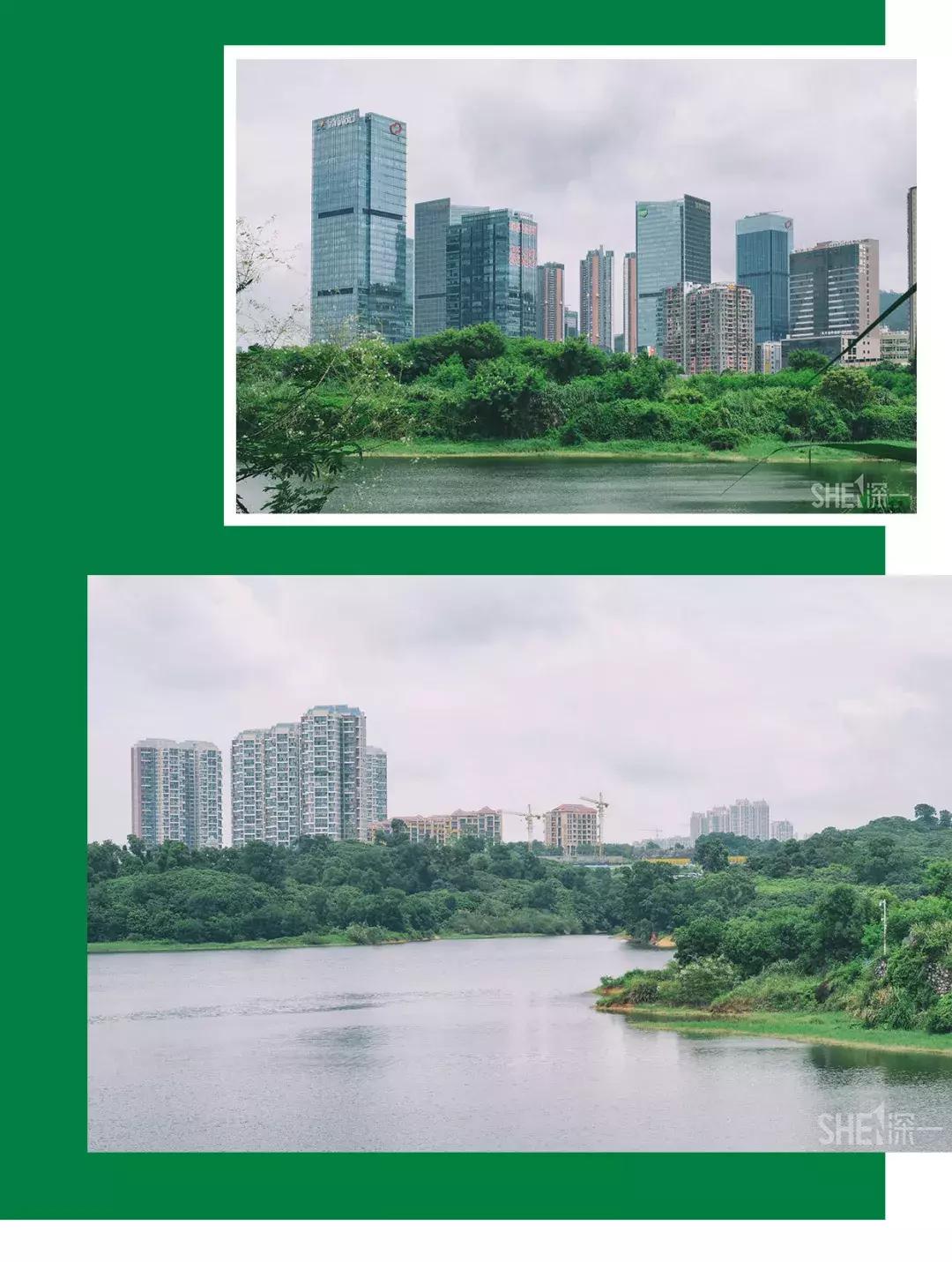 深圳市美美美,深圳最美免费水库