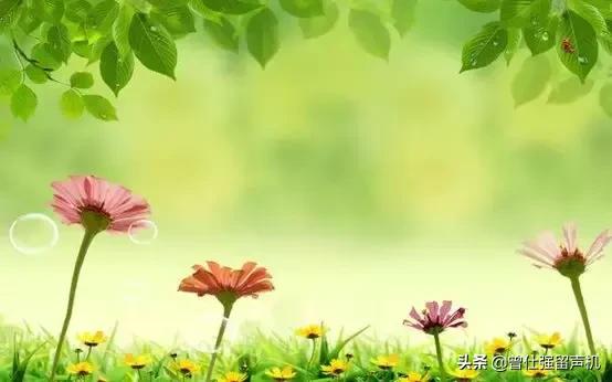 想要成为优秀的人要具备什么,怎样才能成为最有价值的人