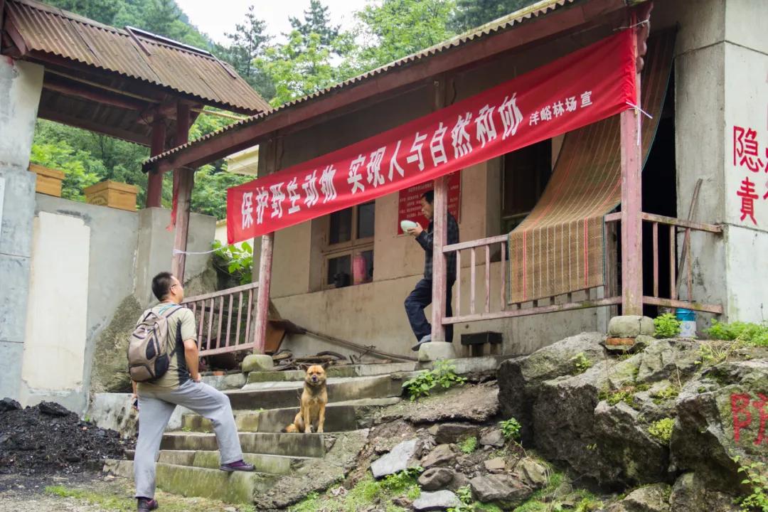 秦岭沣峪口上山有哪些景点,秦岭大坝沟瀑布