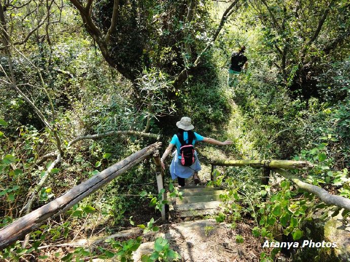 福建漳州浯屿岛,福建漳州东山岛鼓浪屿