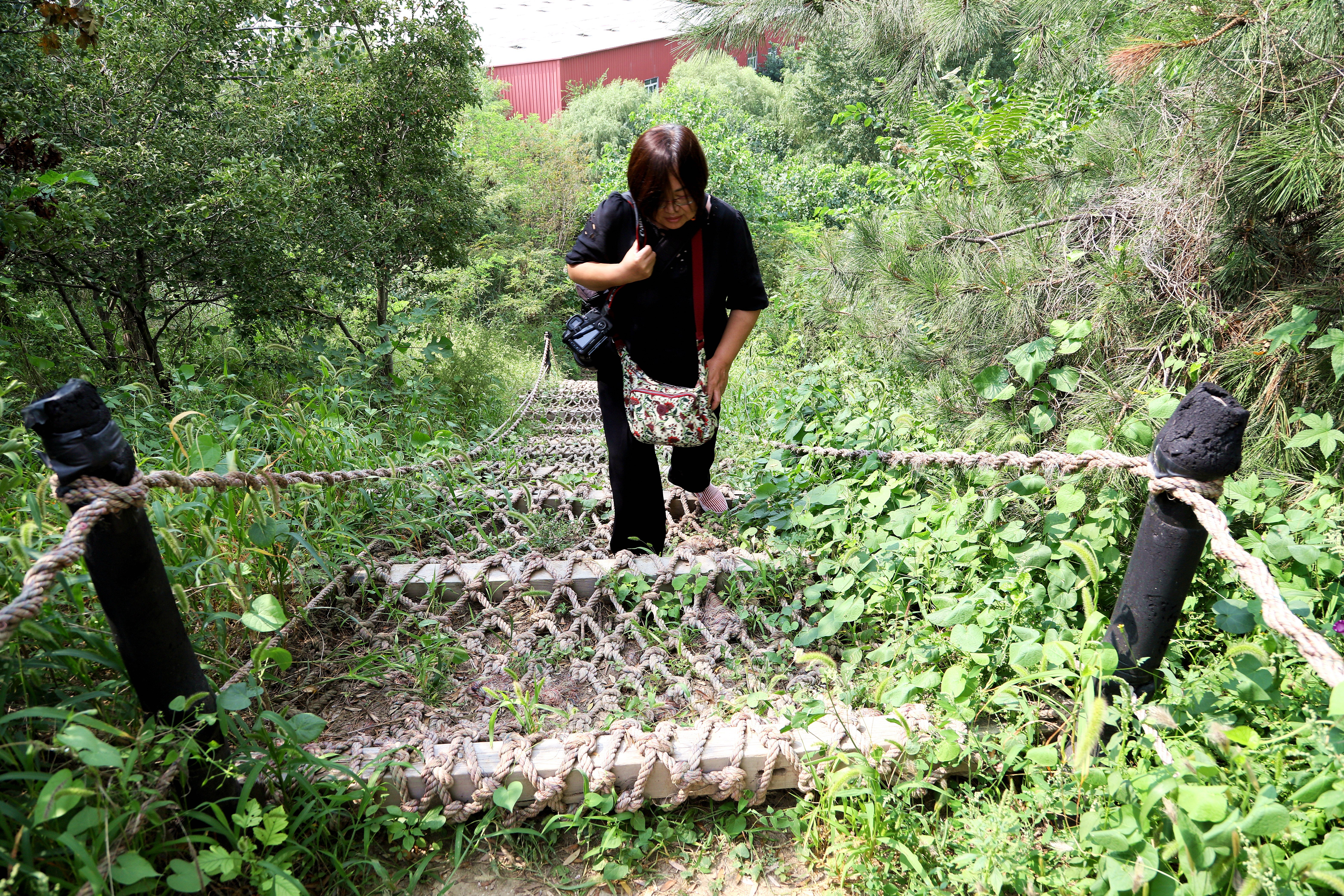 在心灵的栖息地遇见第五季