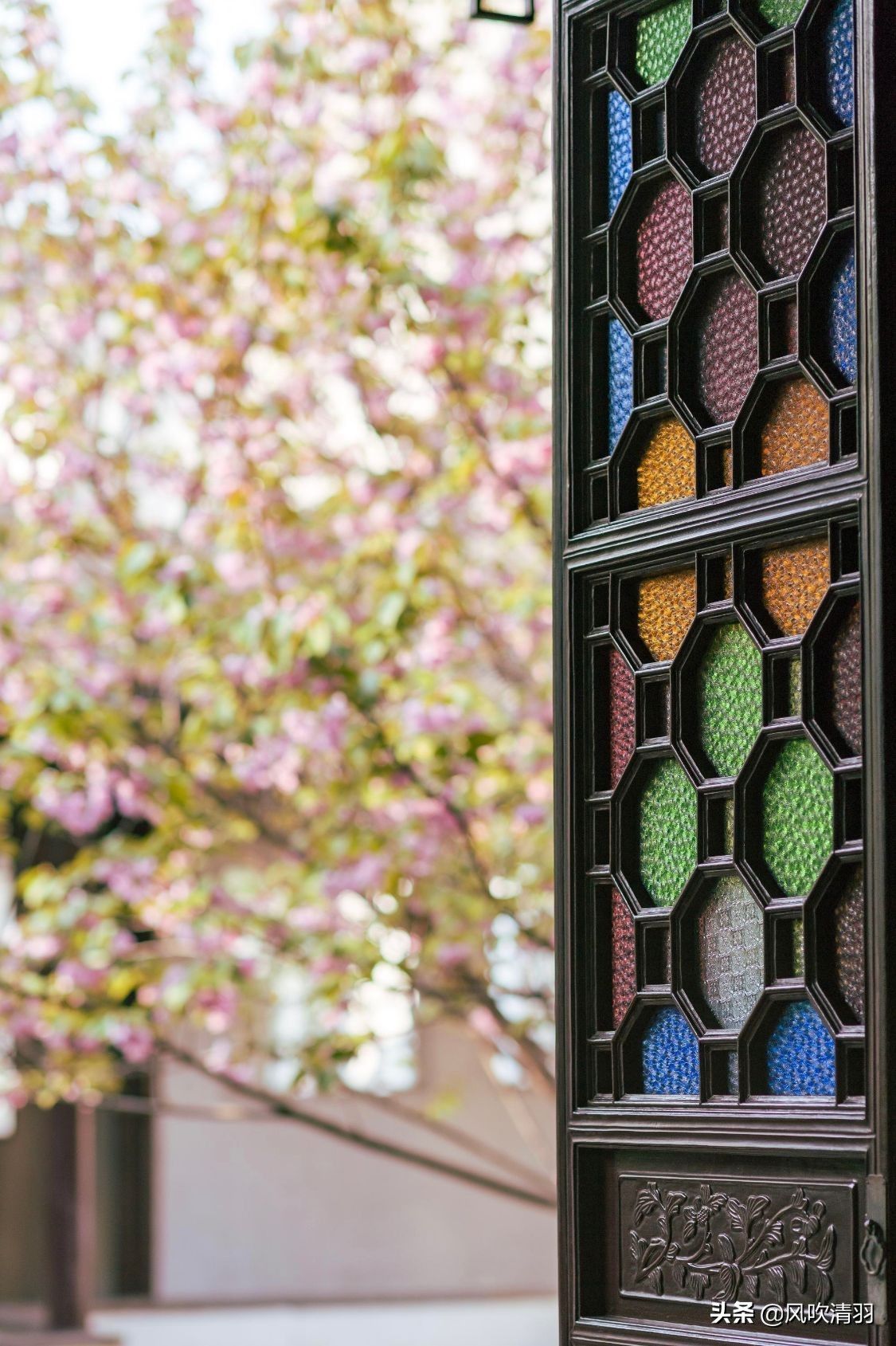 苏州，被忽视的一座养老宜居地，很多人“逃离”一线城市来此生活