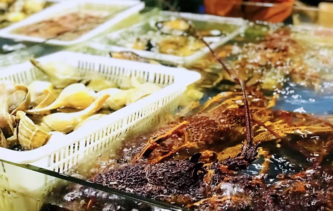 上海最贵火锅有哪几家,上海好吃火锅店排名第一