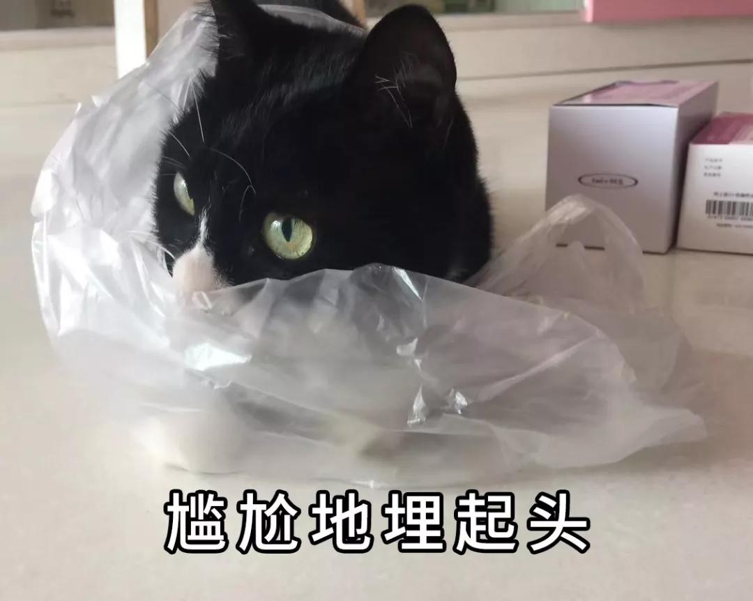 同样是线上恒大卖房子可以红星卖家具为什么就不行？