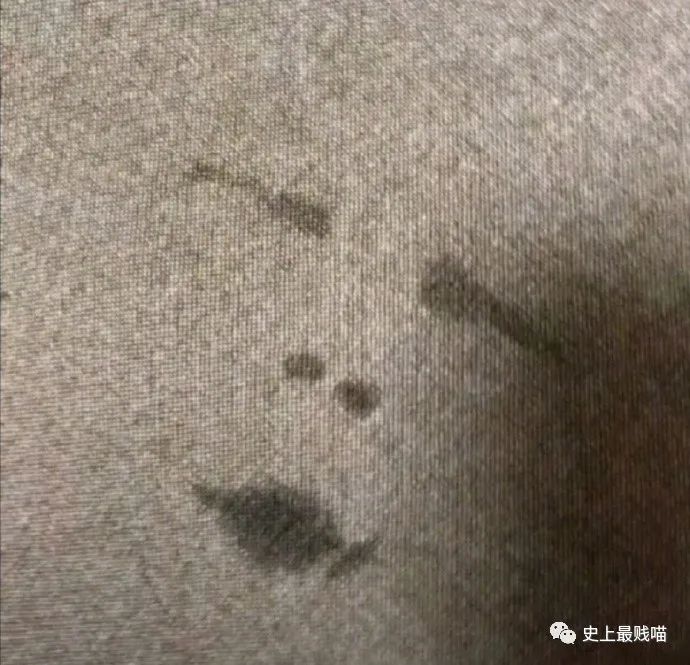 第一次看到把抖m说的这么清新脱俗的...实在太形象了哈哈哈哈哈！