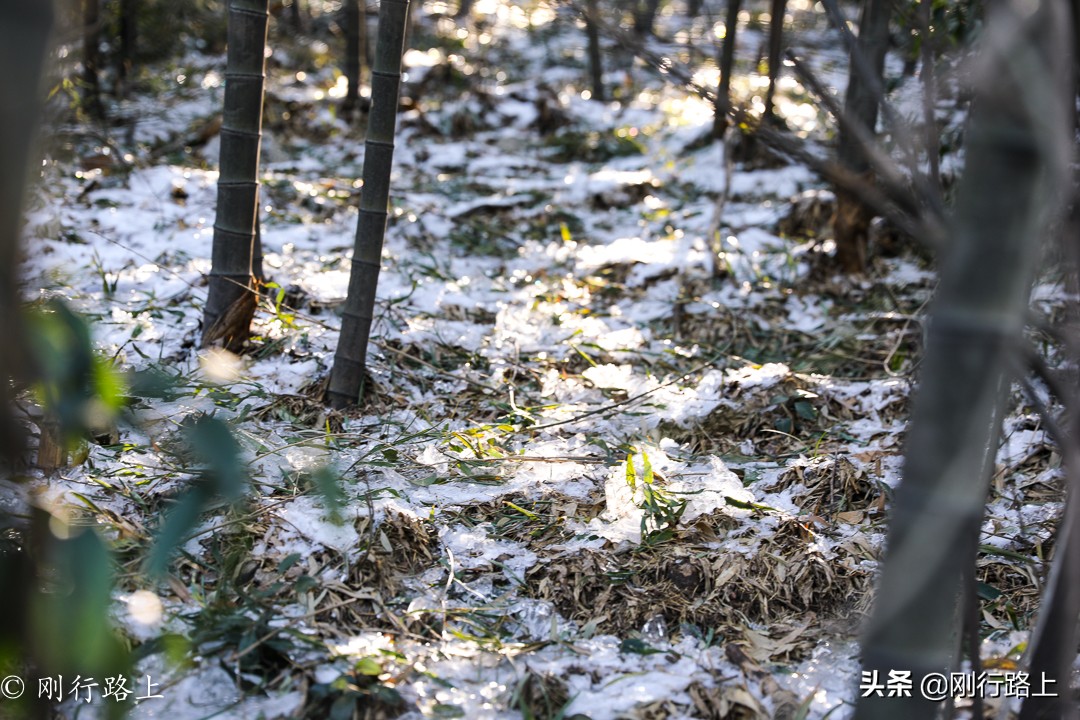 华东第一竹海之称的地方，冬季里冰花最吸引人