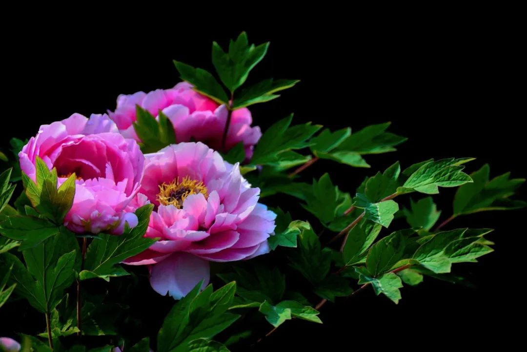 中国历史上唯一被称为神都的城市,中华四都神都