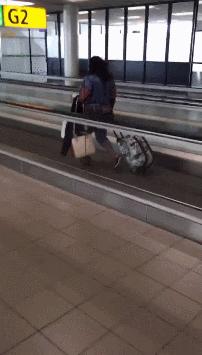 特别搞笑的收藏照片,值得收藏的gif动图