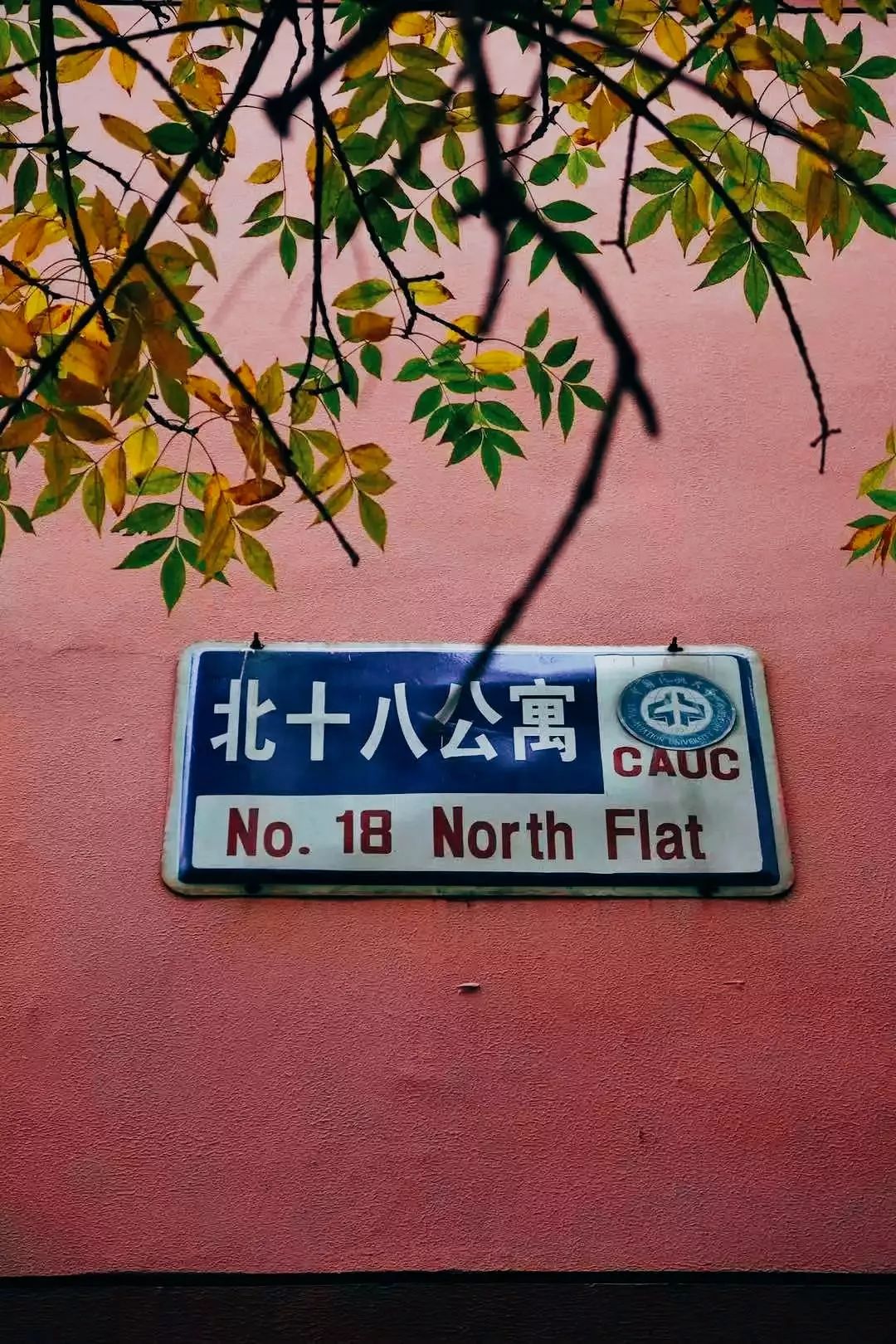 中国民航大学地位,中国民航大学很牛吗现在还有吗