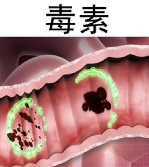 宝宝不愿意去厕所拉便便怎么引导,如何正确引导幼儿大便